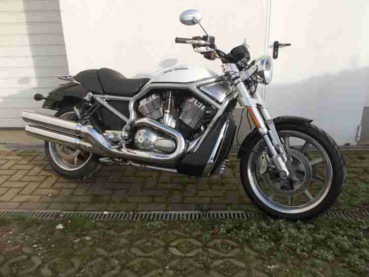 Harley Davidson Sreet Rod