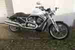 Harley Davidson Sreet Rod