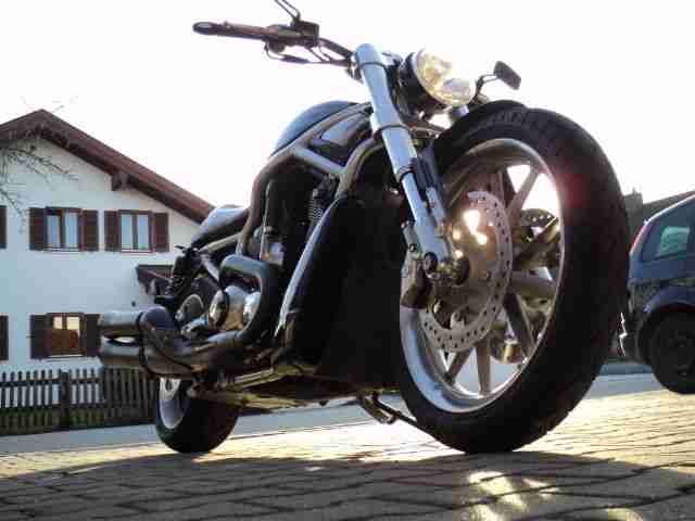 Harley Davidson Street Rod