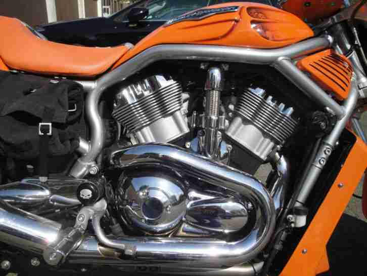 Harley Davidson Street Rod VRSCR Custom Totalumbau Racing