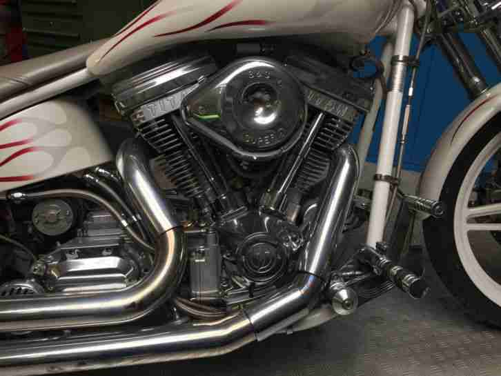 Harley Davidson Titan Gecko Garagenfund