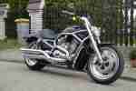 Harley Davidson V ROD VROD V ROD Vrscaw 240er