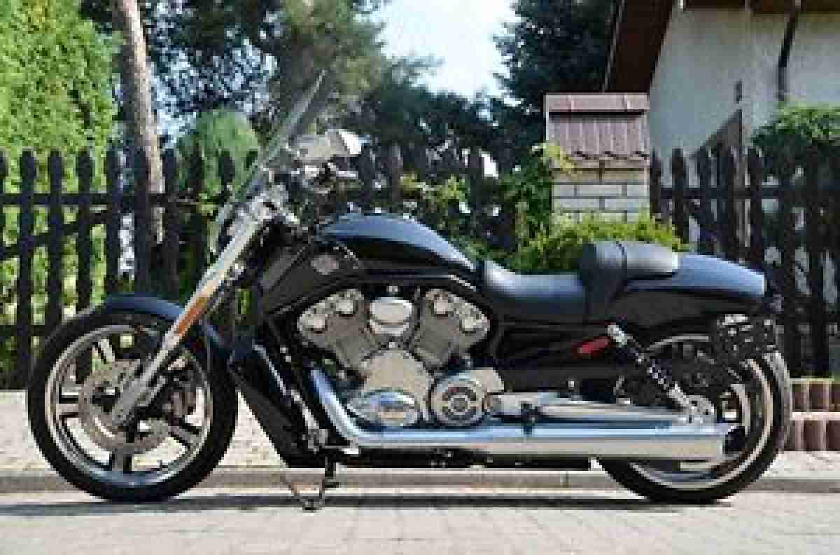 Harley Davidson V-ROD VRSCF MUSCLE BJ.2009 wie neu