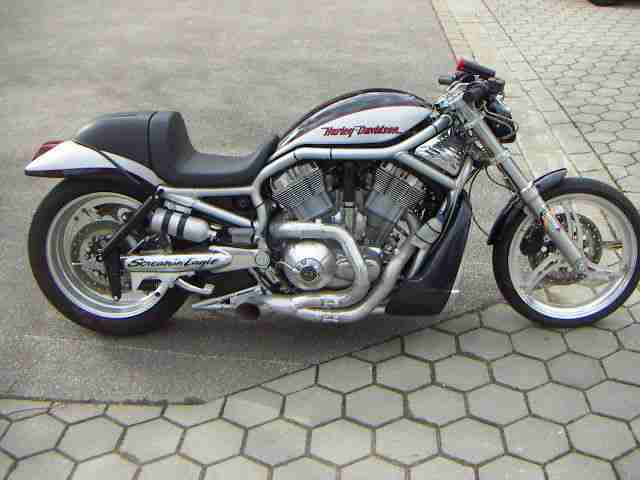 Harley Davidson V Rod Destroyer Werksdragster!!!!!einer von 625 Stlk weltweit!