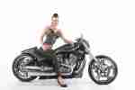 Harley Davidson V Rod MUSCLE CUSTOMBIKE