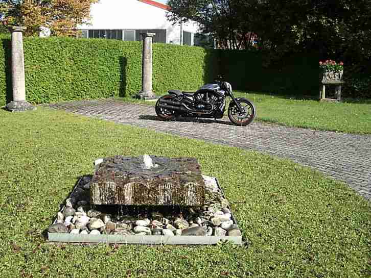 Harley Davidson V Rod Night Rod Special "Best of Show for Sale"