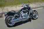 Harley Davidson V Rod Race Big Bore, Screamin