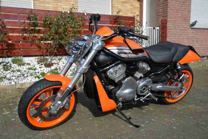 Harley Davidson VRSCR Street Rod Traum in