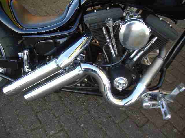 Harley Davidson ( WALZ ) Hardcore DRAGSTYLE