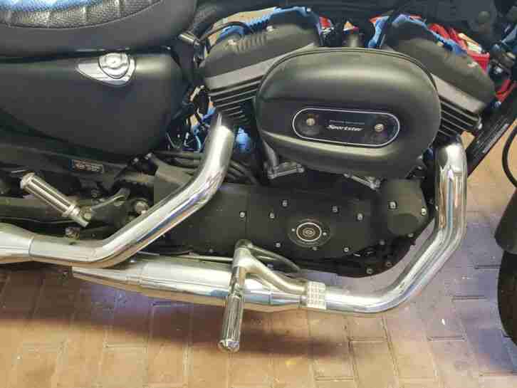 Harley Davidson XL883R