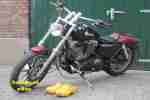 Harley Davidson XLH 883 Sportster OHNE