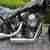 Harley Davidson mit