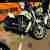 Harley Davidson v
