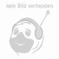 Harley Davidson von Albert Saladini | Buch | gebraucht