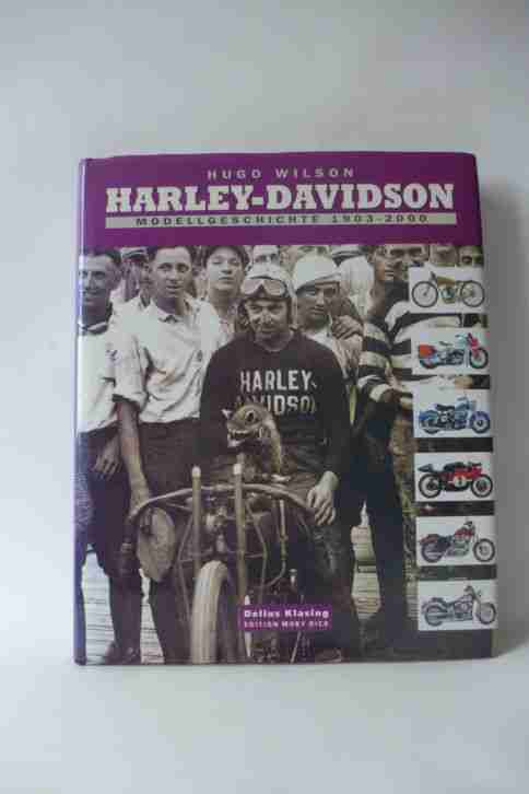Harley Davidson von Hugo Wilson