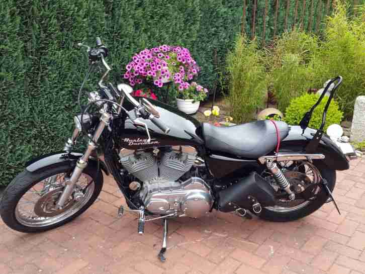 Harley Devidson Sportster 883 XL Bj.2006 TOP