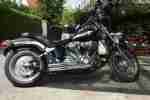 Harley Softail Standart 2006 SE Screamin