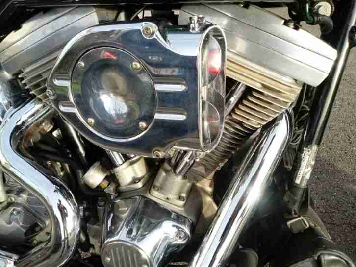 Harley Softail