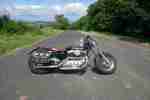 Harley Sportster 883 XL 2 Unikat