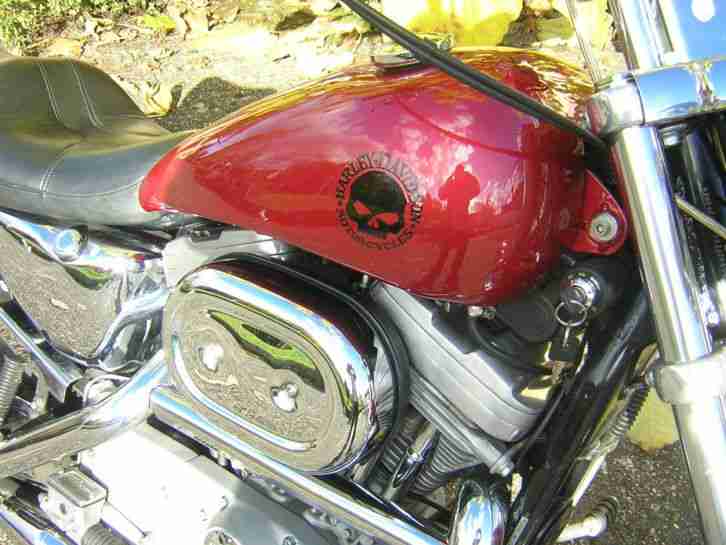 Harley Sportster Custom mit Penzl Auspuff TÜV 4/2016 Umbaukosten über 35000€