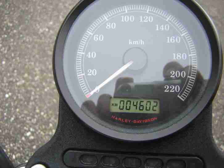 Harley Sportster Iron 2010er deutsches Modell 4600km in Brillant Silver Denim