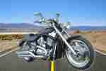 Harley V ROD, VRSCA, Screamin Eagle, 2003 er