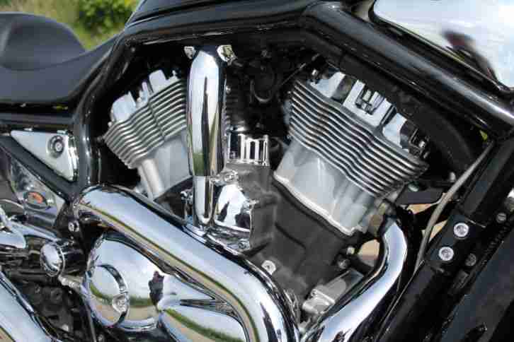 Harley V-ROD, VRSCA, Screamin Eagle, 2003-er Jubiläumsmodell - Verkauf /Tausch