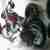 Harley davidson softail