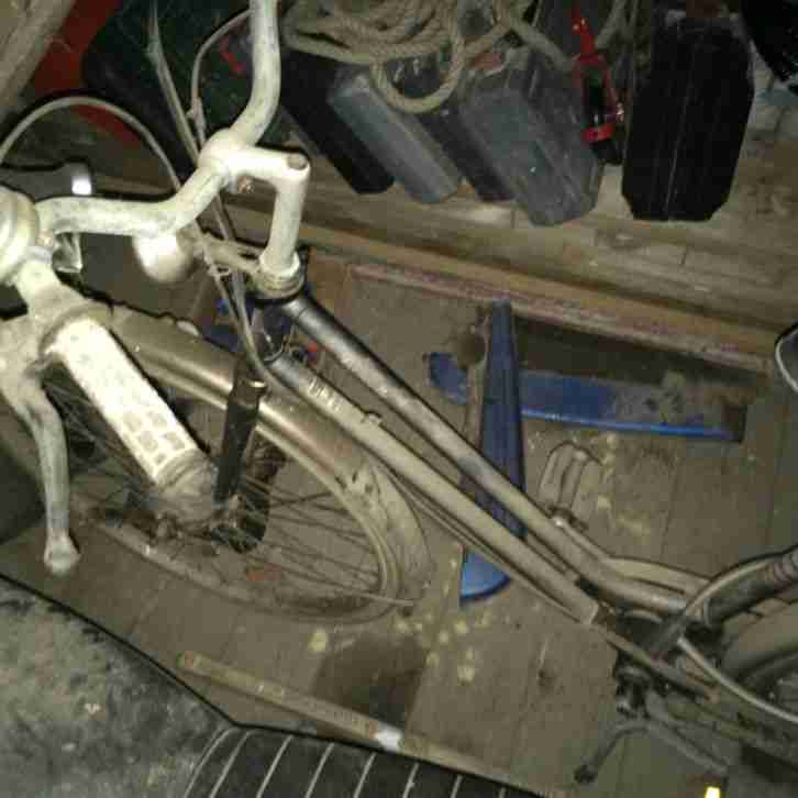 Hercules 519 Saxonette Scheunenfund