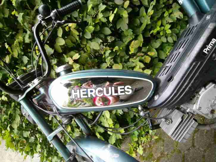 Hercules Prima 5
