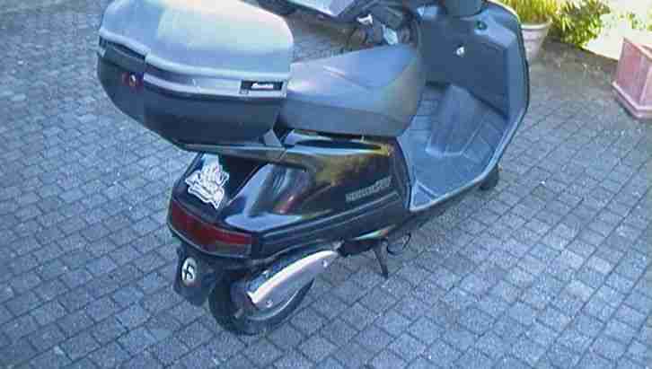 Hercules Samba R 50