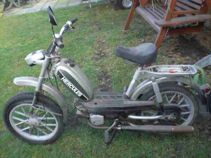 Hercules Schuppenfund