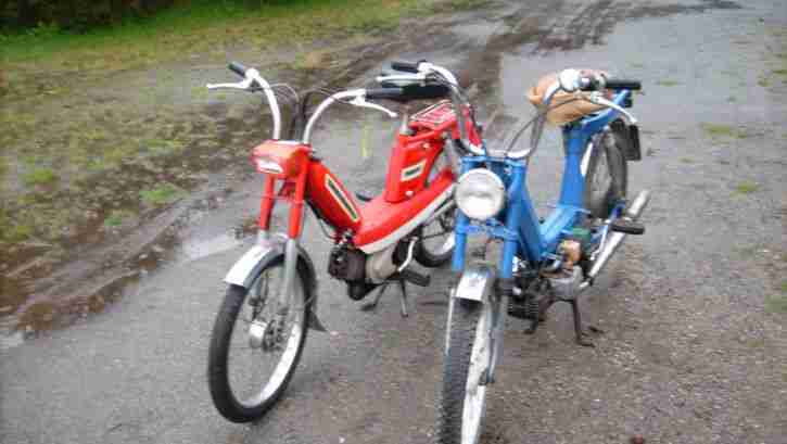 Hercules und Peugot