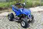 Hochwertiges Sport elektro Quad ATV 800 Watt