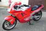 CBR 600 F PC19