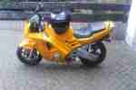 CBR 600 PC 25