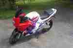 CBR 600 Pc31