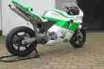 CBR 600 , Rennmaschine ,Racing Bike ,