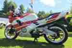 CBR 600 Supersportler Gianelli Auspuff