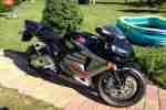 CBR 600 rr, Top Zustand