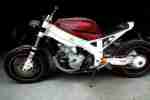 CBR 900 Fireblade Streetfighter Projekt