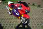 CBR 900 RR sc33