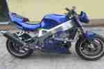 CBR900 Street Figther mit