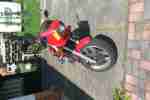 CX 500