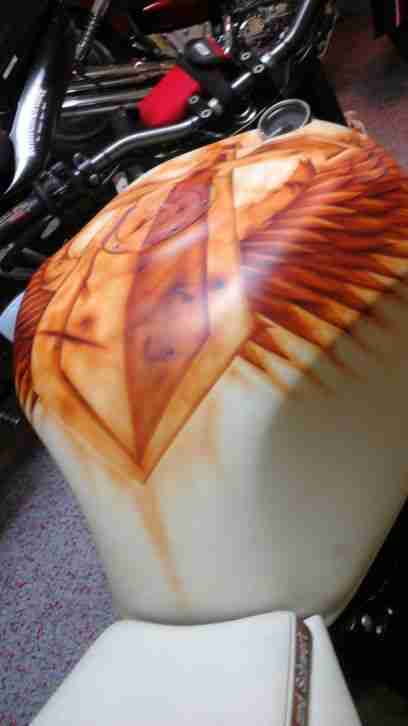 Honda Cbr900 Streetfighter