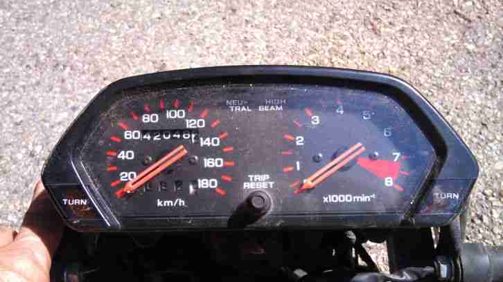 Honda Dominator 650 NX zerlegt