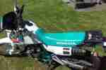 Dominator NX 650 mint weiss