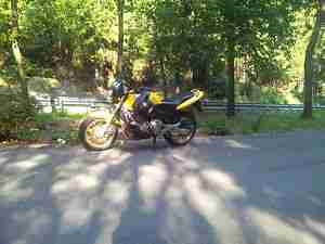 Honda Hornet CB