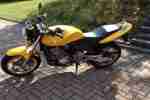 Hornet CB 600 PC 34 Tüv neu