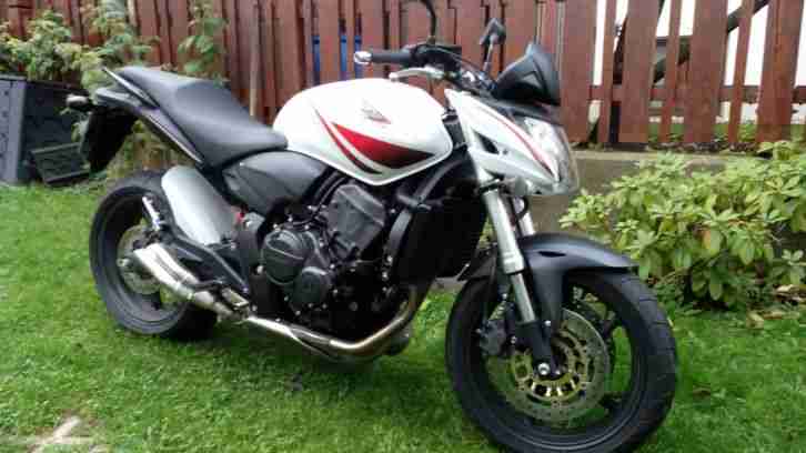 Honda Hornet CB 600 PC 41 Bj 2010 7800 Km